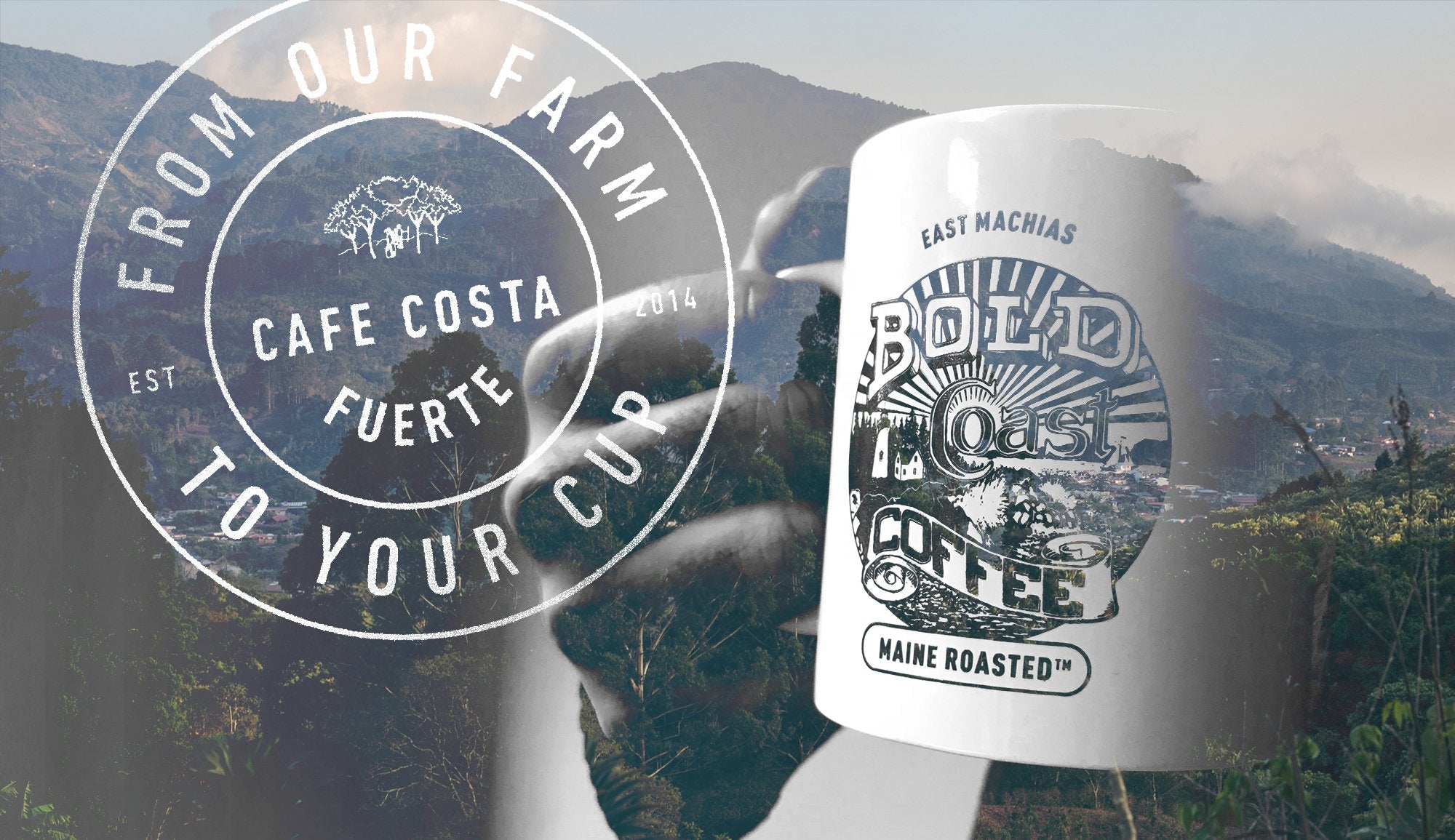 Bold Coffee for Bold People  Bold Coast Roasters